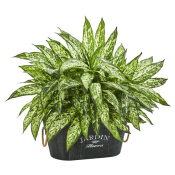 Aglonema Artificial Plant in Wood Planter - SKU #6463