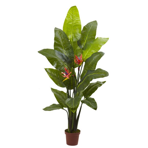 Bird of Paradise Plant Real Touch - SKU #6576