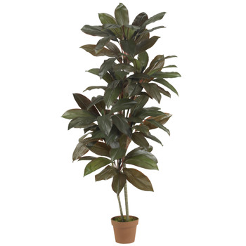 5 Cordyline Silk Plant Real Touch - SKU #6580