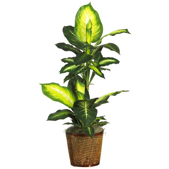 42 Golden Dieffenbachia w/Basket Silk Plant - SKU #6593-0307