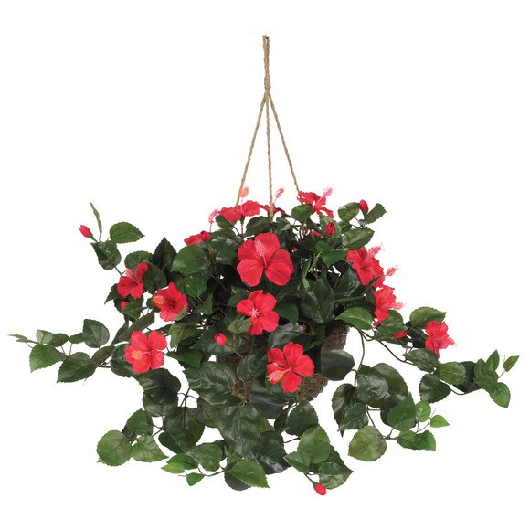 Hibiscus Hanging Basket - SKU #6614-RD