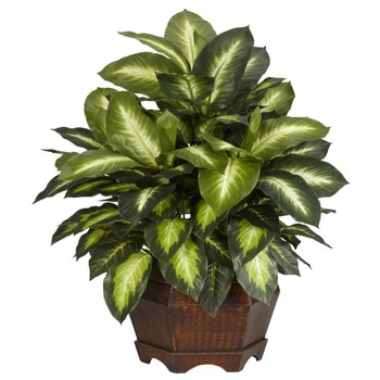 Golden Dieffenbachia Silk Plant - SKU #6639