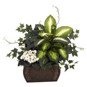 African Violet Dieffenbachia Ivy w/Chest Silk Plant - SKU #6684