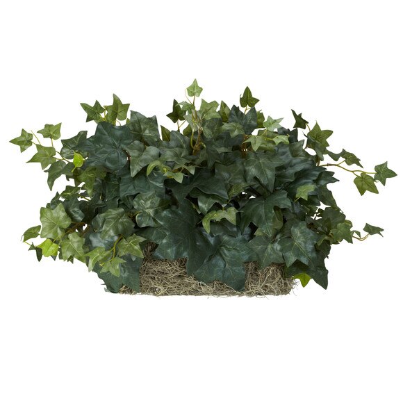 Ivy Set on Foam Sheet Silk Plant - SKU #6707