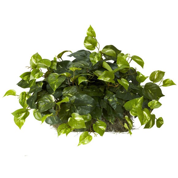 Pothos Set on Foam Sheet Silk Plant - SKU #6708
