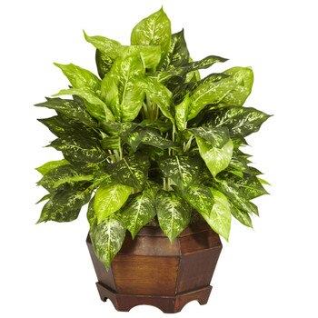 Variegated Dieffenbachia w/Large Hexagon Silk Plant - SKU #6709