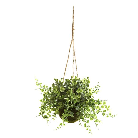 9 Eucalyptus Maiden Hair w/Berry Hanging Basket - SKU #6741