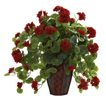 Geranium w/Decorative Planter - SKU #6777