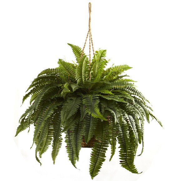Double Giant Boston Fern Hanging Basket - SKU #6788 - 1