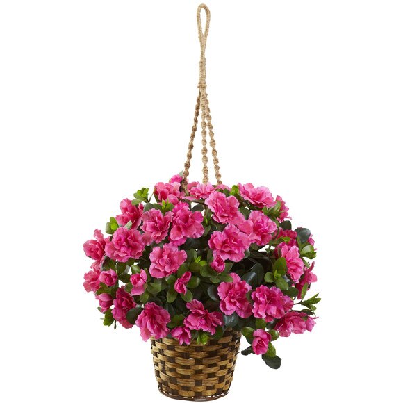 Azalea Hanging Basket - SKU #6848