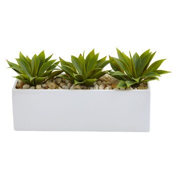 Agave Succulent in Rectangular Planter - SKU #6916