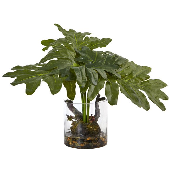 Philodendron Arrangement with Vase - SKU #6917