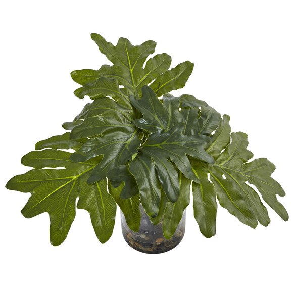 Philodendron Arrangement with Vase - SKU #6917 - 1