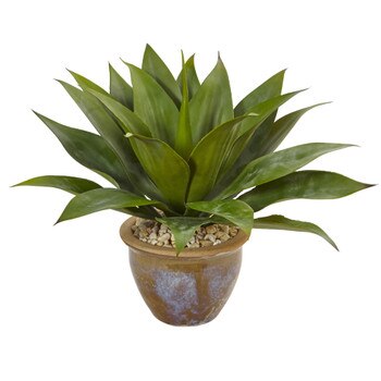 Agave in Glazed Clay Pot - SKU #6942