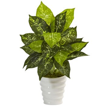 Diefenbachia in Swirl Ceramic - SKU #6955