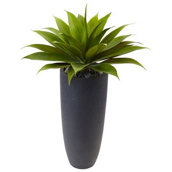 Agave in Gray Cylinder Planter - SKU #6960