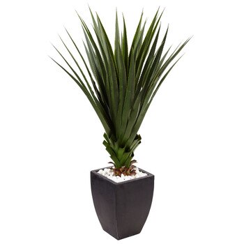 4.5 Spiked Agave in Black Planter Indoor/Outdoor - SKU #6964