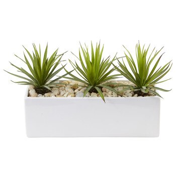 Mini Agave in Rectangular Ceramic - SKU #6974