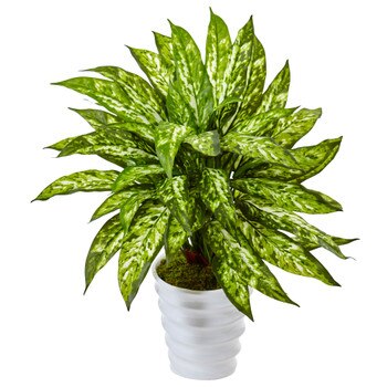 Aglaonema in Swirl Planter - SKU #6980