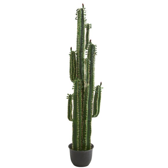 6.5 Cactus Artificial Plant - SKU #8103