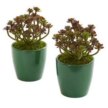 Sedum Artificial Plant in Green Planter Set of 2 - SKU #8205-S2