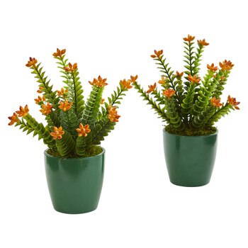 Sedum Succulent Artificial Plant in Green Planter Set of 2 - SKU #8213-S2