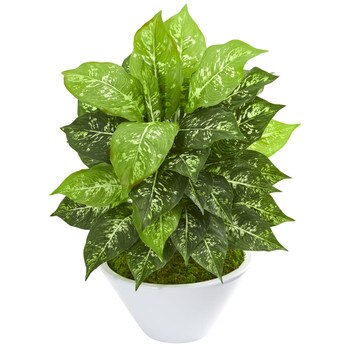 Dieffenbachia Artificial Plant in White Bowl - SKU #8363