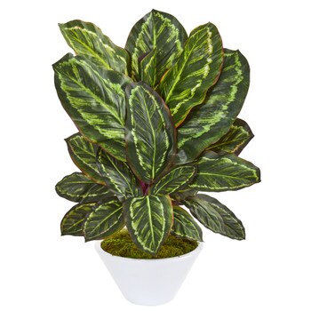 26 Maranta Artificial Plant in White Vase - SKU #8412
