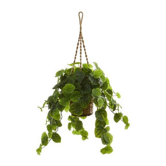 34 Peperomia Artificial Plant in Hanging Basket Real Touch - SKU #8579-BG - 1