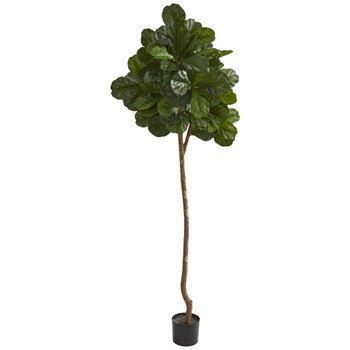 7 Fiddle leaf fig Artificial tree - SKU #9108