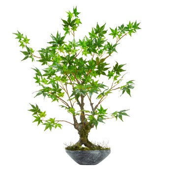 30 Maple Bonsai Artificial Tree in Planter - SKU #9178