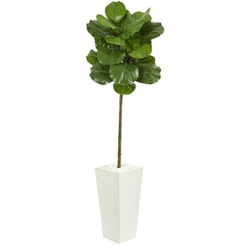 5.5 Fiddle Leaf Artificial Tree in White Tower Planter - SKU #9215
