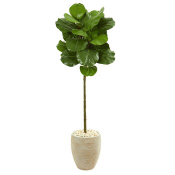 5 Fiddle Leaf Artificial Tree in Sand Colored Planter - SKU #9216
