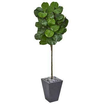 6 Fiddle Leaf Artificial Tree in Slate Finished Planter - SKU #9258