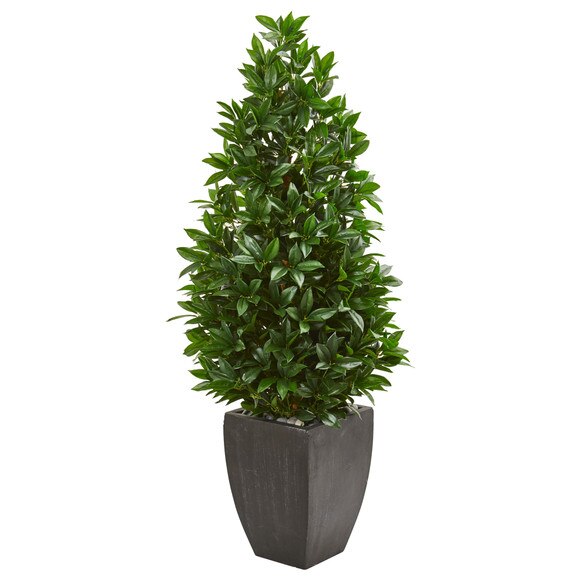 56 Bay Leaf Cone Topiary Artificial Tree UV Resistant in Black Planter Indoor/Outdoor - SKU #9372