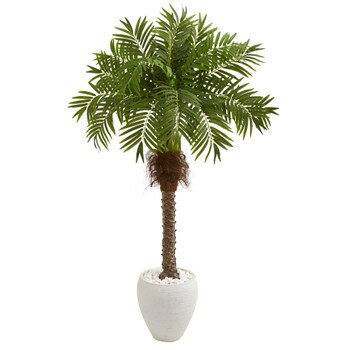 63 Robellini Palm Artificial Tree in White Planter - SKU #9428