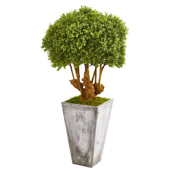 51 Boxwood Artificial Topiary Tree in Cement Planter Indoor/Outdoor - SKU #9771