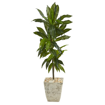 4 Dracaena Artificial Plant in Country White Planter Real Touch - SKU #P1328