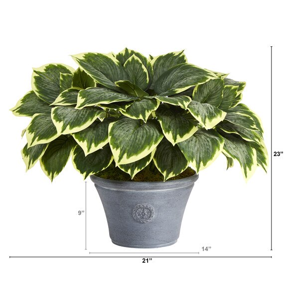 23 Variegated Hosta Artificial Plant in Gray Planter - SKU #P1359 - 1