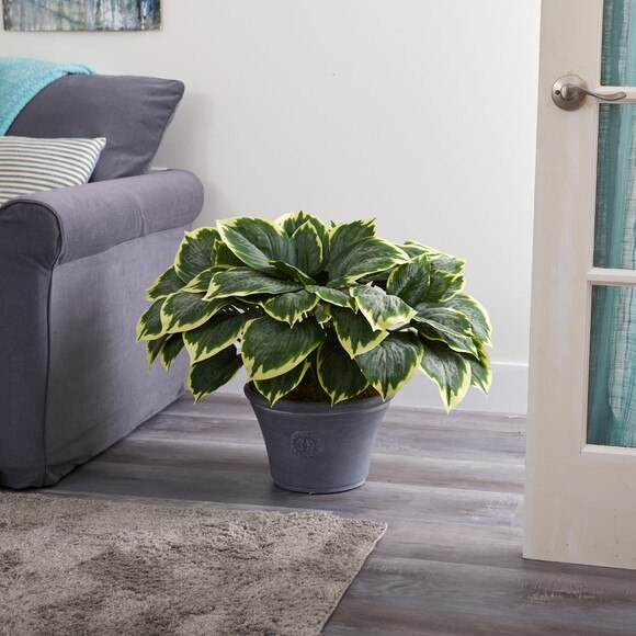 23 Variegated Hosta Artificial Plant in Gray Planter - SKU #P1359 - 2