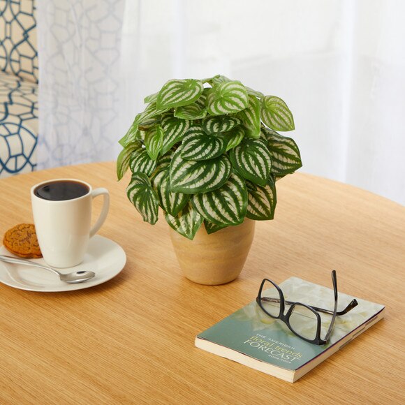 11 Watermelon Peperomia Artificial Plant in Ceramic Planter Real Touch - SKU #P1446 - 2