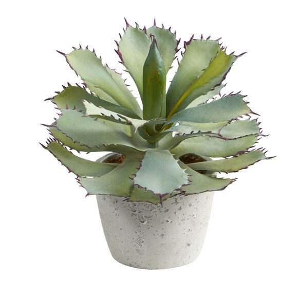 11 Succulent Artificial Plant - SKU #P1517