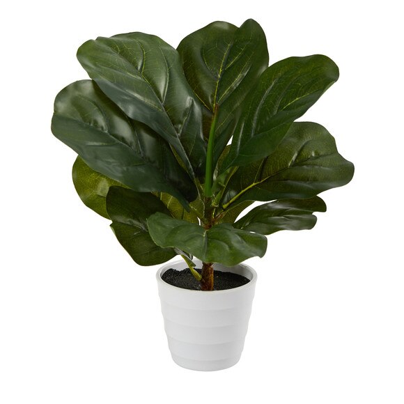 11 Fiddle Leaf Artificial Plant in White Planter Real Touch - SKU #P1646