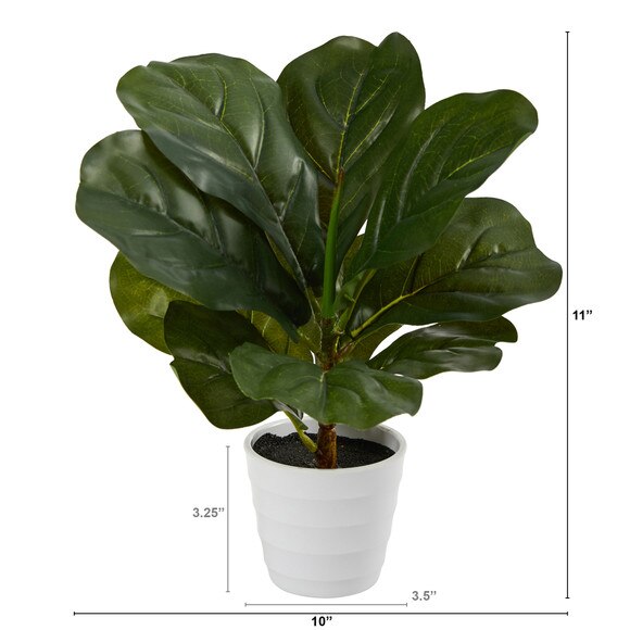 11 Fiddle Leaf Artificial Plant in White Planter Real Touch - SKU #P1646 - 1