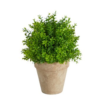 8 Boxwood Artificial Plant in Decorative Planter - SKU #P1658