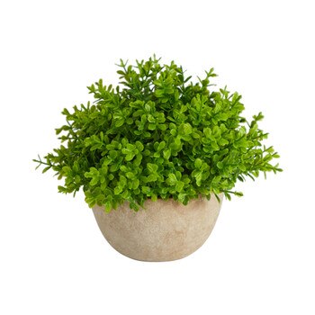 5 Boxwood Artificial Plant in Decorative Planter - SKU #P1659