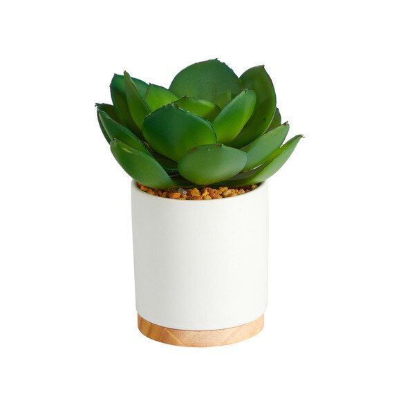6 Succulent Artificial Plant in White Ceramic Planter - SKU #P1660