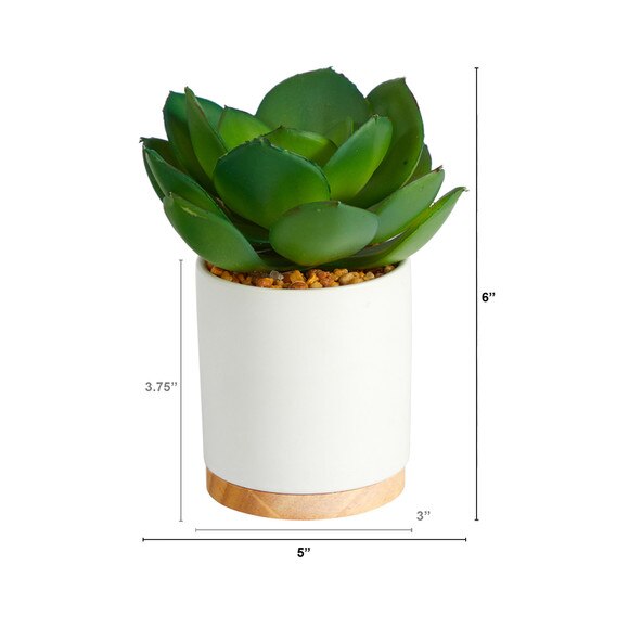 6 Succulent Artificial Plant in White Ceramic Planter - SKU #P1660 - 1