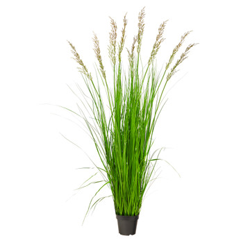 5.5 Plum Grass Artificial Plant - SKU #P1684