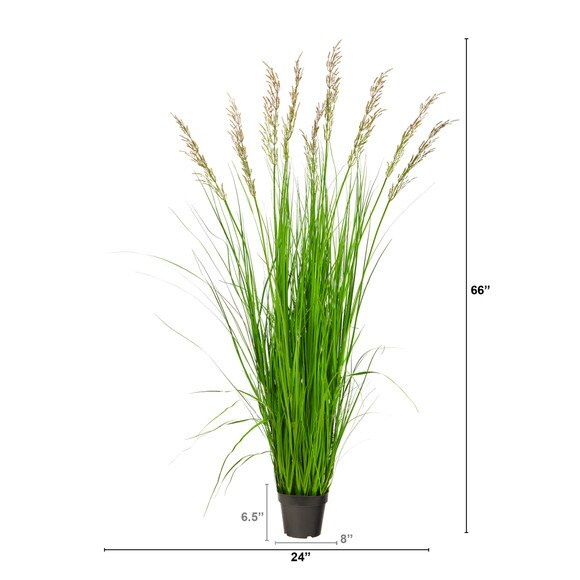 5.5 Plum Grass Artificial Plant - SKU #P1684 - 1